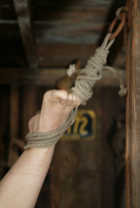 Busty brunette Jenya enduring an upside-down BDSM pounding with a dildo