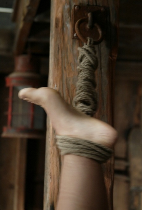 Busty brunette Jenya enduring an upside-down BDSM pounding with a dildo